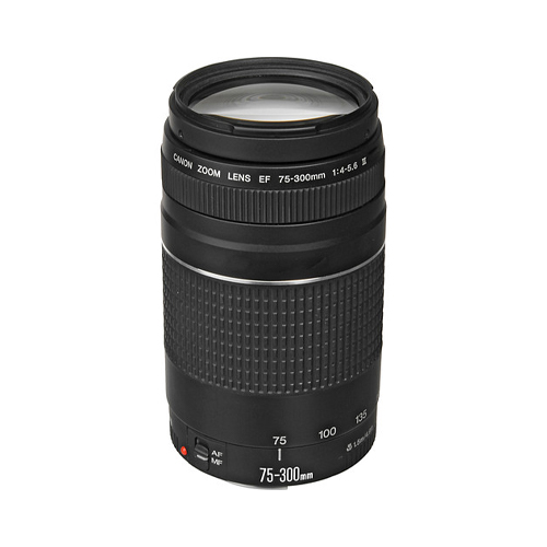 Opmerkelijk Tirannie realiteit Canon EF 75-300mm f/4-5.6 III Lens - The Camera Exchange