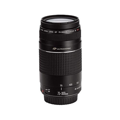 Canon EF 75-300mm f/4-5.6 III USM Lens - The Camera Exchange
